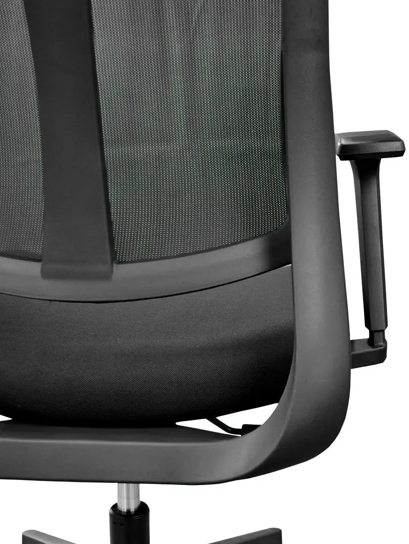 Fotoliu DP M38A (Black)