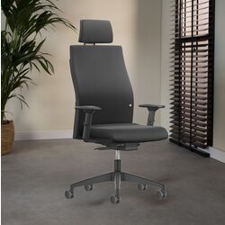 Fotoliu Interstuhl Runner 17RS (Black)