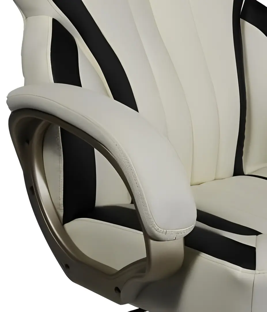 Fotoliu Magnusplus MC 073 (Beige/Black)