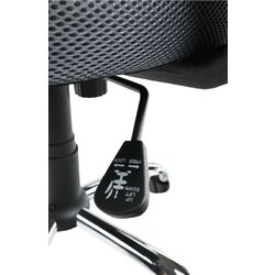 Fotoliu Mobhaus Van (Gray) Thumb