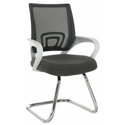 Scaun Mobhaus Sanaz Typ 3 (Gray/White)