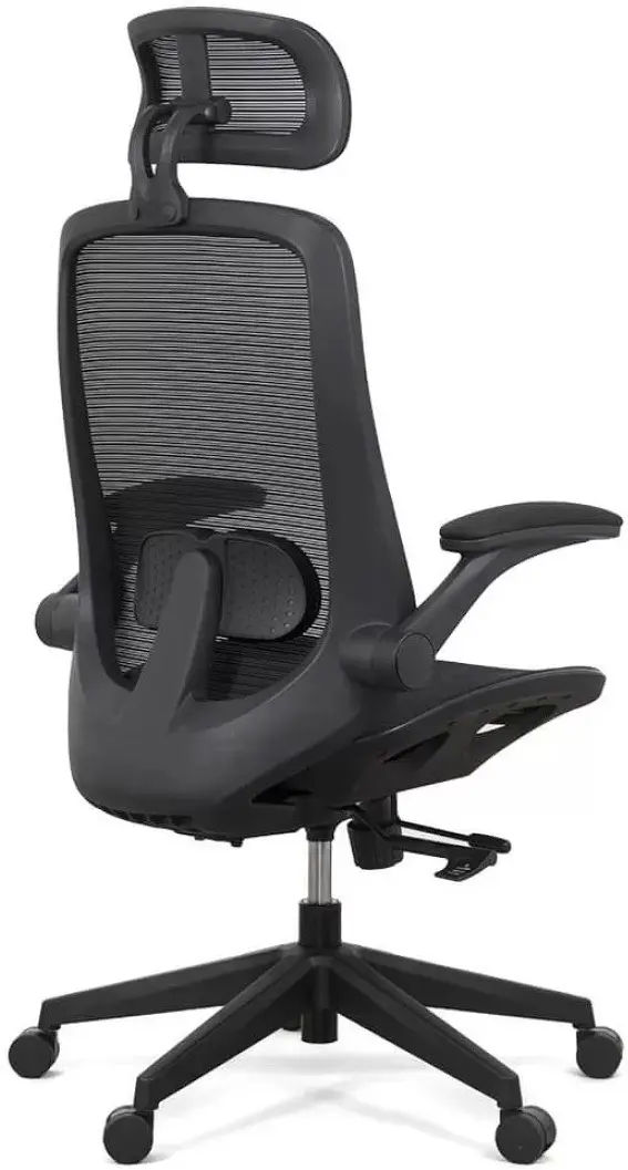 Fotoliu Prestige Chairs SYYT 9509 (Black) - 3