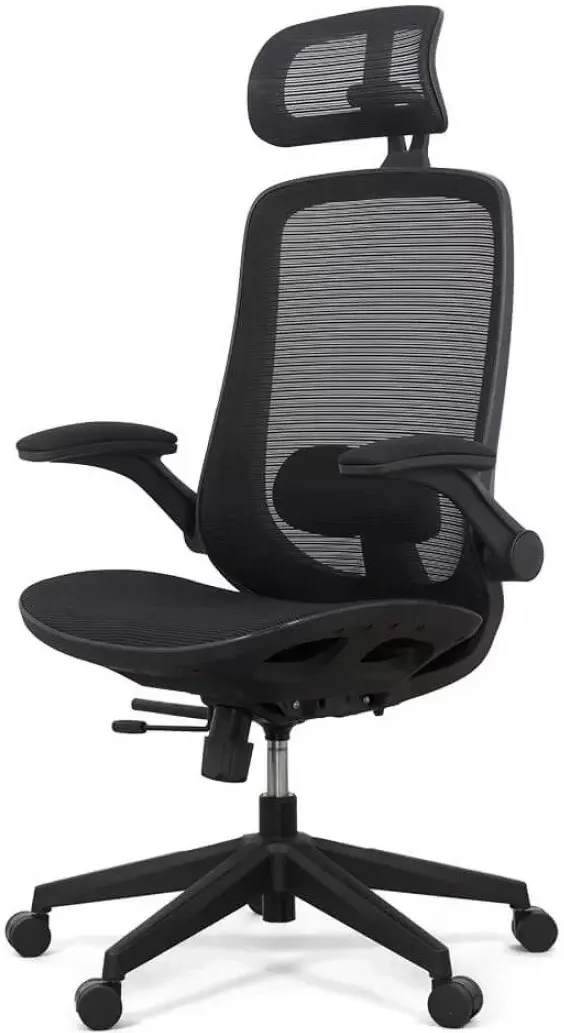 Fotoliu Prestige Chairs SYYT 9509 (Black) - 4