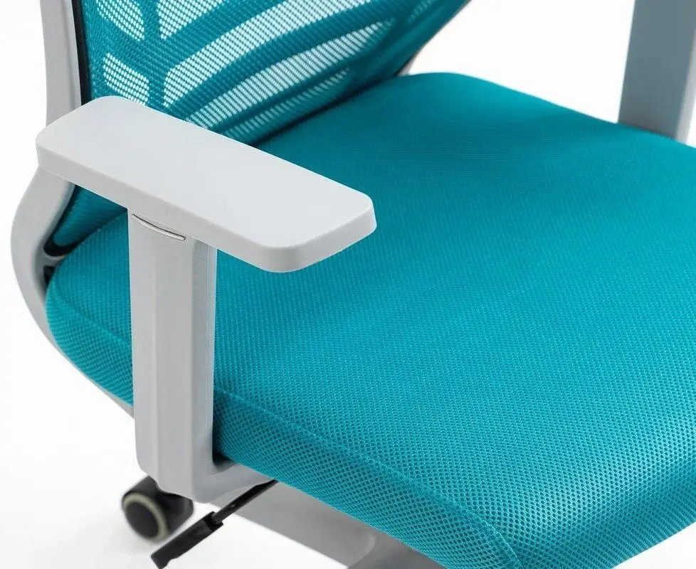 Fotoliu Signal Q-320 (Blue/White)