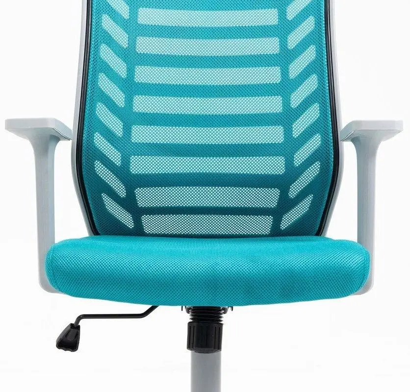 Fotoliu Signal Q-320 (Blue/White)