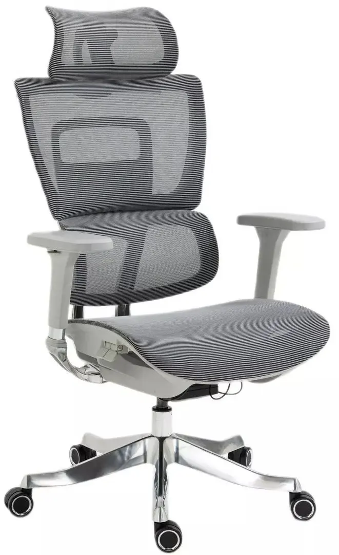 Fotoliu Signal Winner Lux (Grey/Chrome)