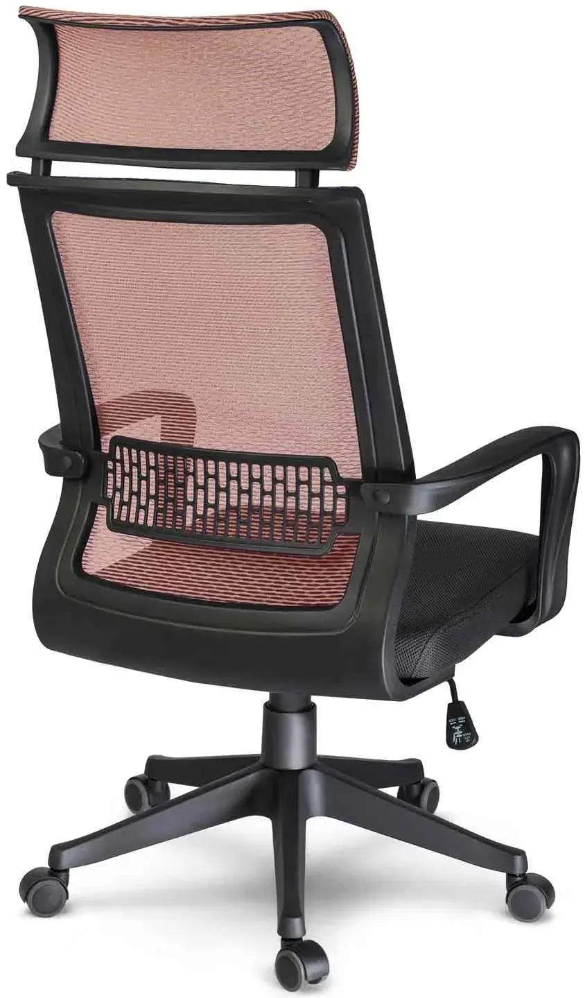 Fotoliu Sofotel Nosberg 2414 (Brown/Black) - 5