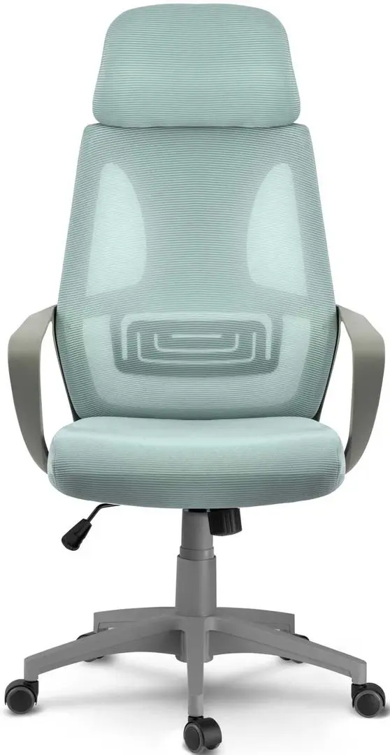 Fotoliu Sofotel Praga 2294 (Light Blue)