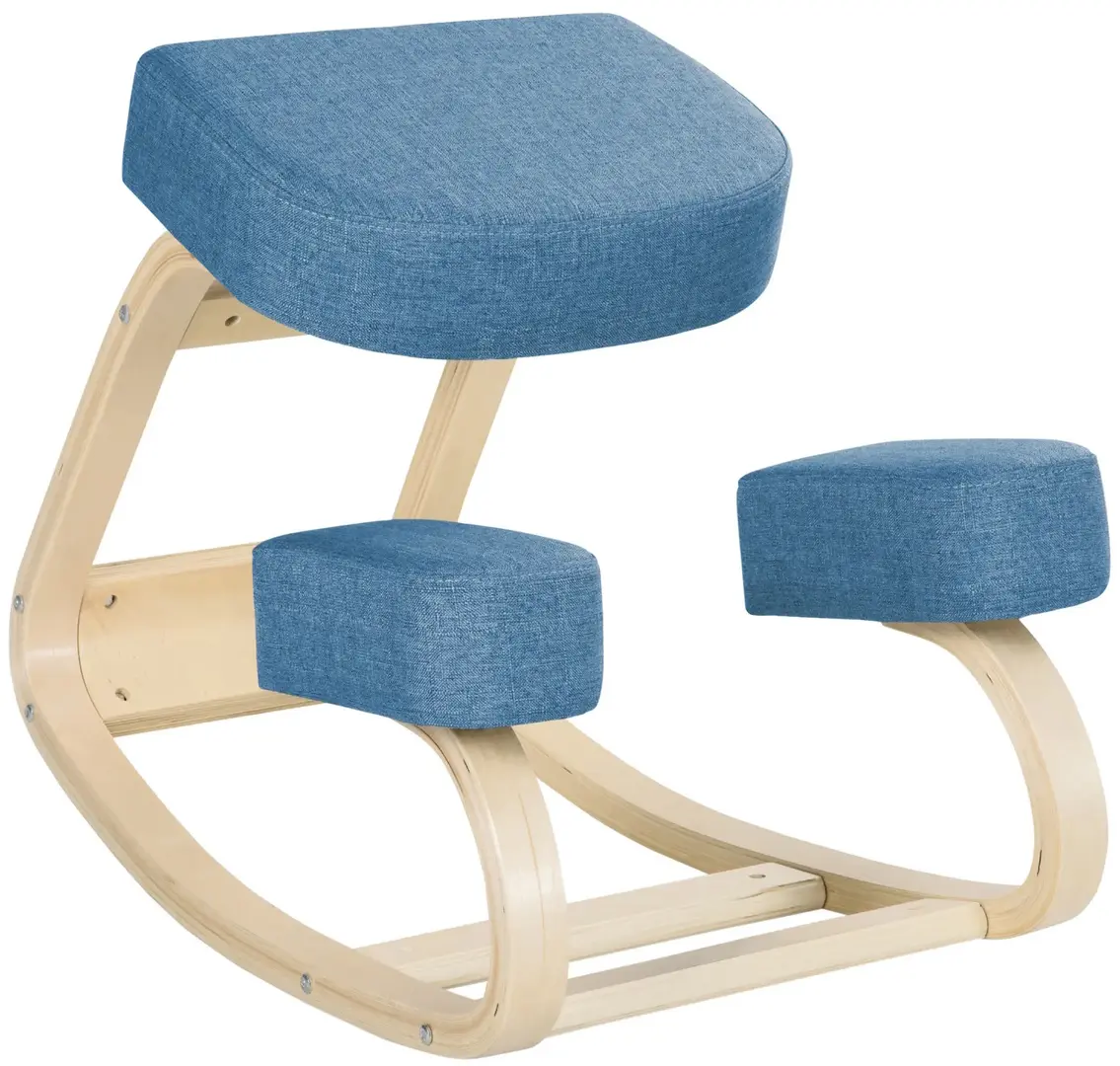 Эргономический стул Vinsetto 921-589V00BU (Blue)