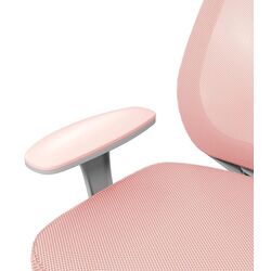 Fotoliu Vinsetto 921-690V01PK (Pink/Grey) Thumb