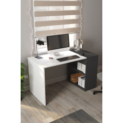 Письменный стол Bofigo Smyrna 120 (Anthracite/White)