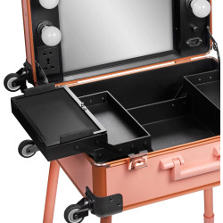 Valiză organizator cosmetic Activeshop T-27 136919 (Rose Gold) Thumb