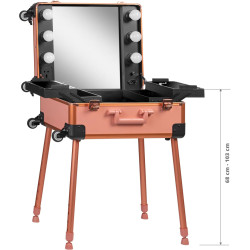 Valiză organizator cosmetic Activeshop T-27 136919 (Rose Gold) Thumb