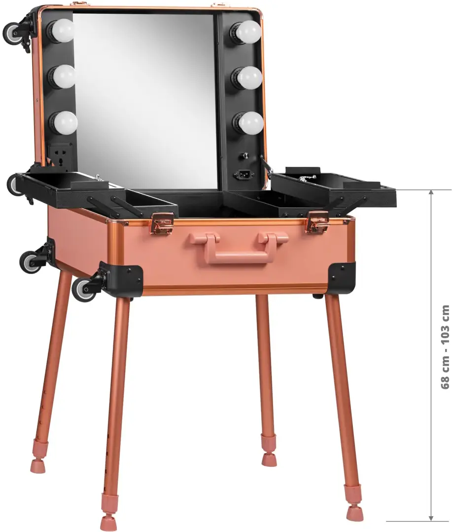 Valiză organizator cosmetic Activeshop T-27 136919 (Rose Gold)