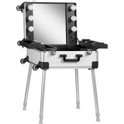 Valiză organizator cosmetic Activeshop T-27 136921 (Silver)