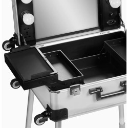 Valiză organizator cosmetic Activeshop T-27 136921 (Silver) Thumb