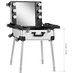 Valiză organizator cosmetic Activeshop T-27 136921 (Silver) Thumb