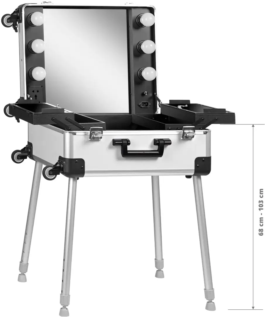 Valiză organizator cosmetic Activeshop T-27 136921 (Silver)