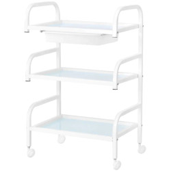 Carucior cosmetologic Activeshop Basic 121 151000 (White) Thumb