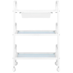 Carucior cosmetologic Activeshop Basic 121 151000 (White) Thumb