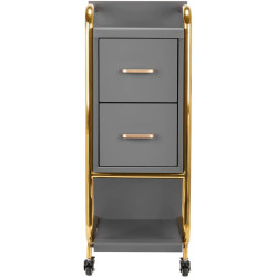 Тележка парикмахера Gabbiano Solo 135396 (Grey/Gold) Thumb