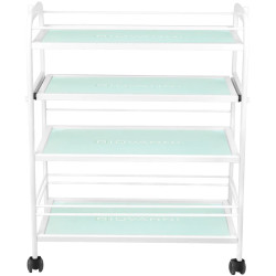 Carucior cosmetologic Giovanni 1015 100754 (White) Thumb