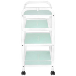 Carucior cosmetologic Giovanni 1015A 101638 (White) Thumb