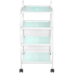 Carucior cosmetologic Giovanni 1031 101567 (White) Thumb