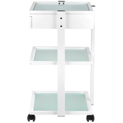 Carucior cosmetologic Giovanni 1040A 101568 (White) Thumb