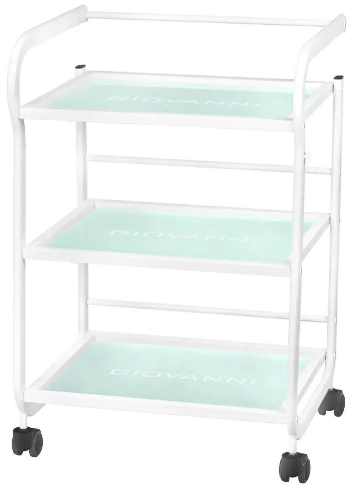 Carucior de frumusete Giovanni 1013 101569 (White)