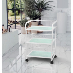 Carucior de frumusete Giovanni 1013 101569 (White)