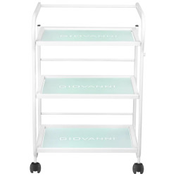 Carucior de frumusete Giovanni 1013 101569 (White) Thumb