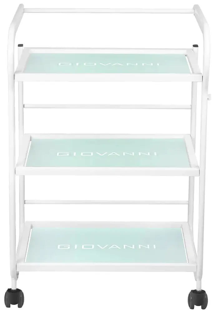 Carucior de frumusete Giovanni 1013 101569 (White)