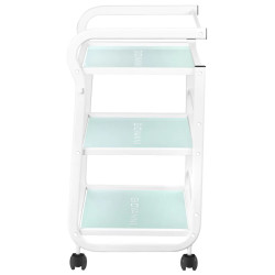 Carucior de frumusete Giovanni 1013 101569 (White) Thumb