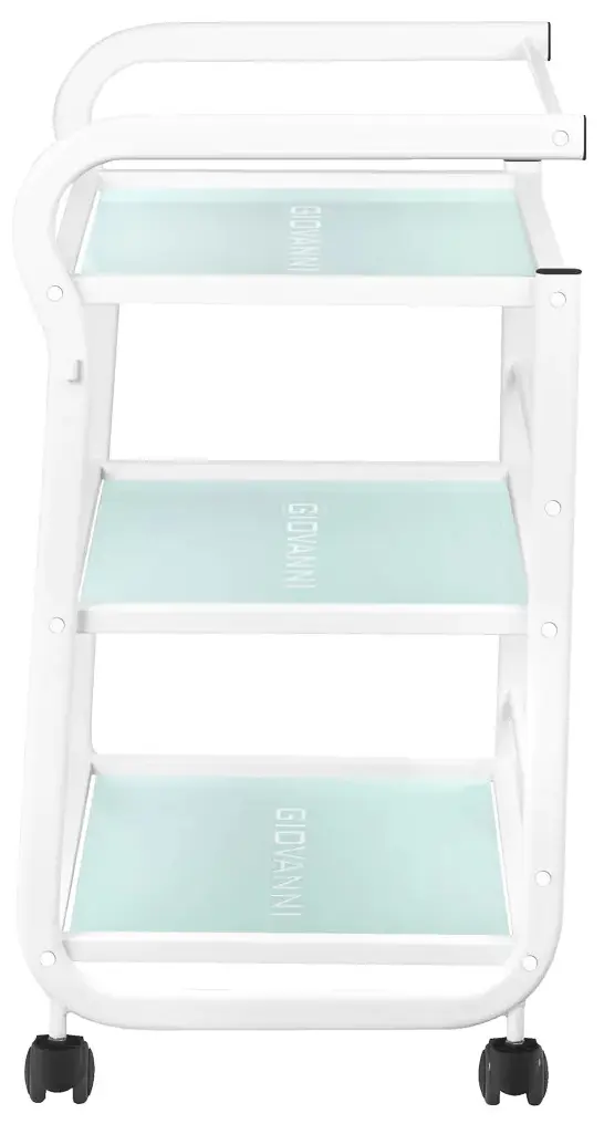 Carucior de frumusete Giovanni 1013 101569 (White)