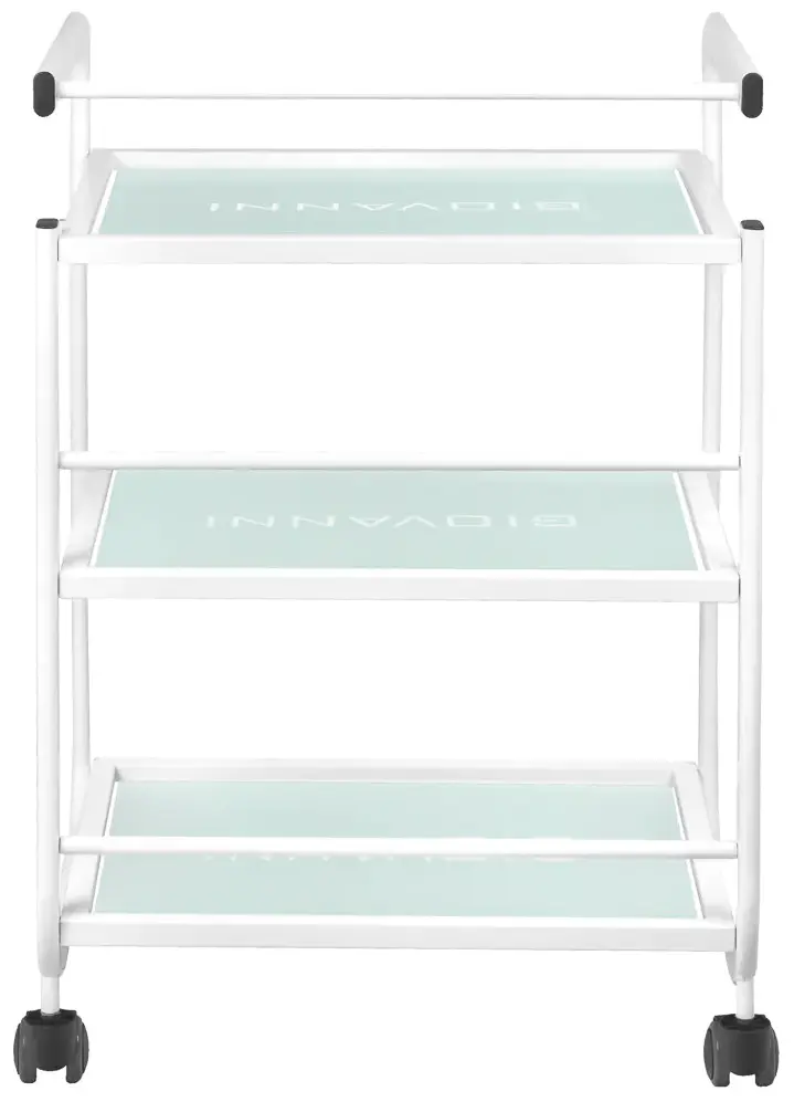 Carucior de frumusete Giovanni 1013 101569 (White)