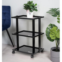 Carucior cosmetologic Pro Ink 1040 132973 (Black)