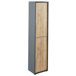 Penal Mobhaus Rioma Typ 06 (Graphite/Artisan Oak)