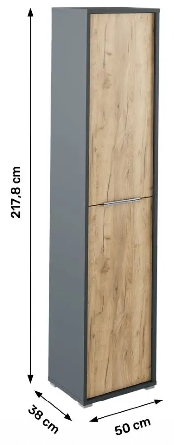 Penal Mobhaus Rioma Typ 06 (Graphite/Artisan Oak) - 4
