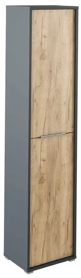 Penal Mobhaus Rioma Typ 06 (Graphite/Artisan Oak)