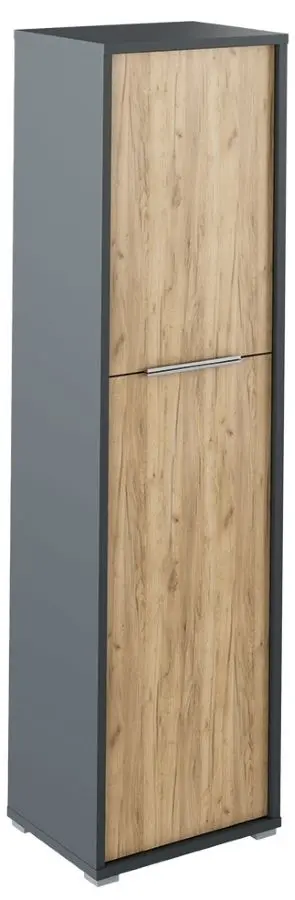 Penal Mobhaus Rioma Typ 08 (Graphite/Artisan Oak)