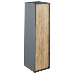 Penal Mobhaus Rioma Typ 20 (Graphite/Artisan Oak)