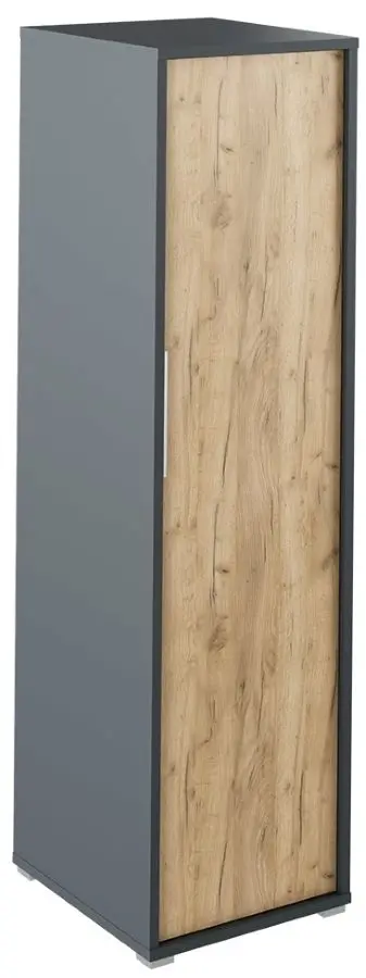 Penal Mobhaus Rioma Typ 20 (Graphite/Artisan Oak)