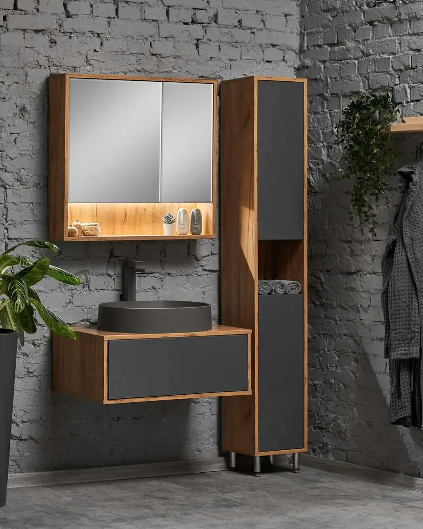 Пенал Sanelit 152 Spirit U 300x1900 (Graphite/Wood)