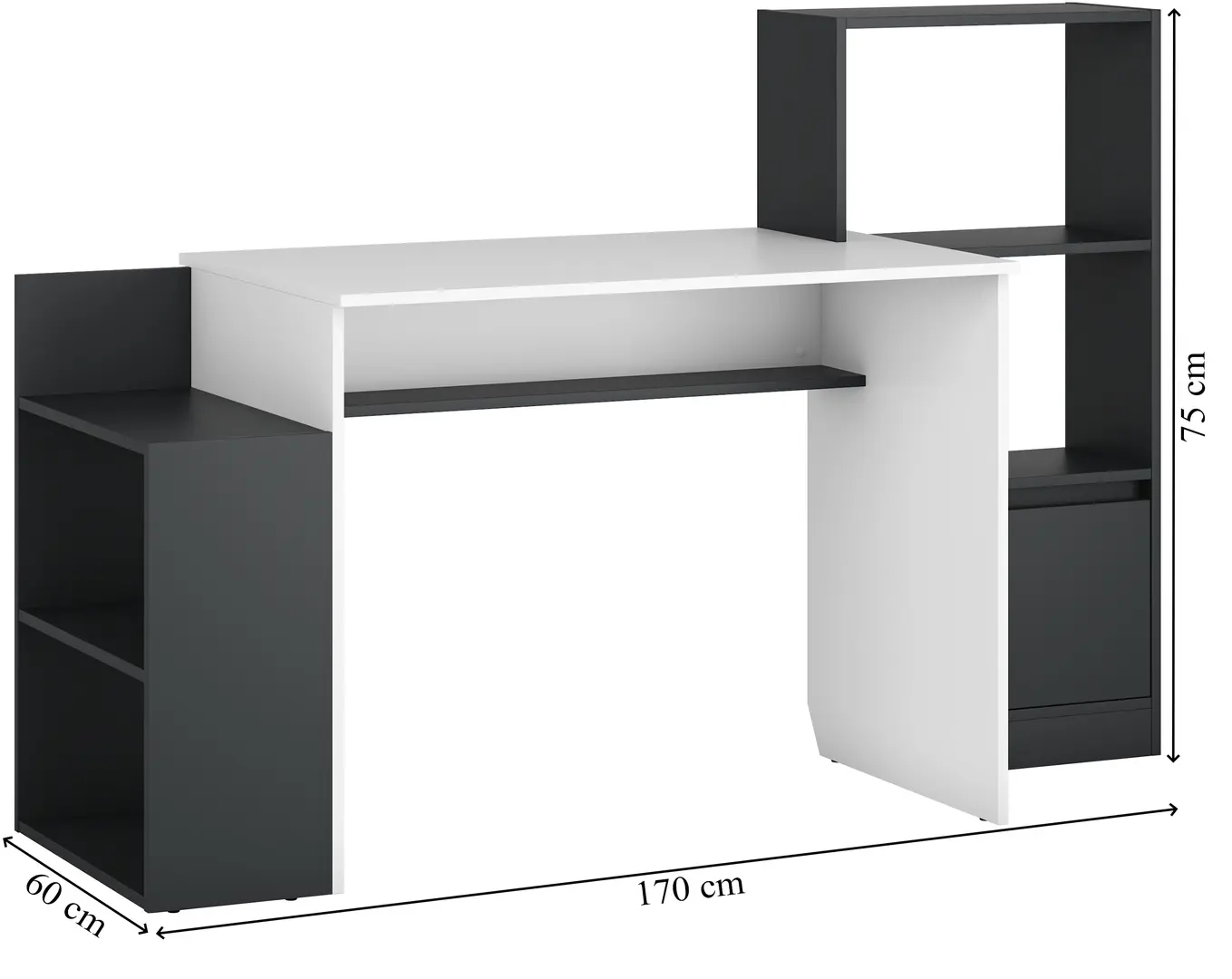 Masa de birou Magnusplus Table 2 (Graphite/White)