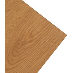Masa pentru birou Mebel Elite Rea 60x120 (Craft Oak Golden/Black) Thumb