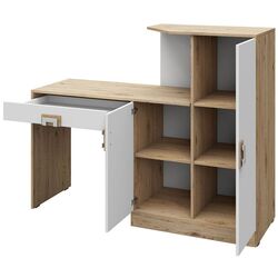 Письменный стол Mirjan24 Niczi/Nico 11 (Oak Light/White) Thumb