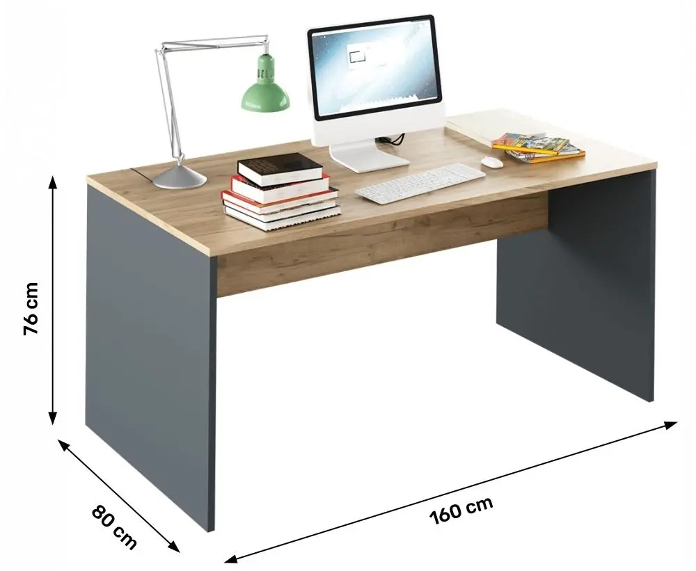 Masa de birou Tempo Kondela Rioma New Typ 16 (Graphite/Artisan Oak)