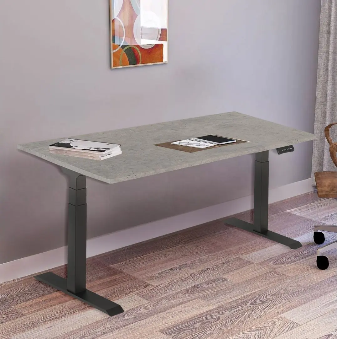 Masa de birou reglabila Flexispot ET223 BL (Black/Concrete)