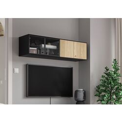 Полка Ikea Boastad дверцы/стеклянный дверцы 121x32x32 (Чёрный/Дубовый Шпон)
